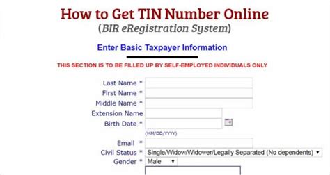 How to Get TIN Number Online (BIR eRegistration System).